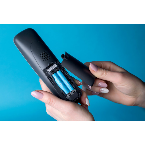 Фото - Аккумулятор тип AAA Panasonic Eneloop Lite AAA 550 2BP mAH NI-MH (BK-4LCCE/2BE)