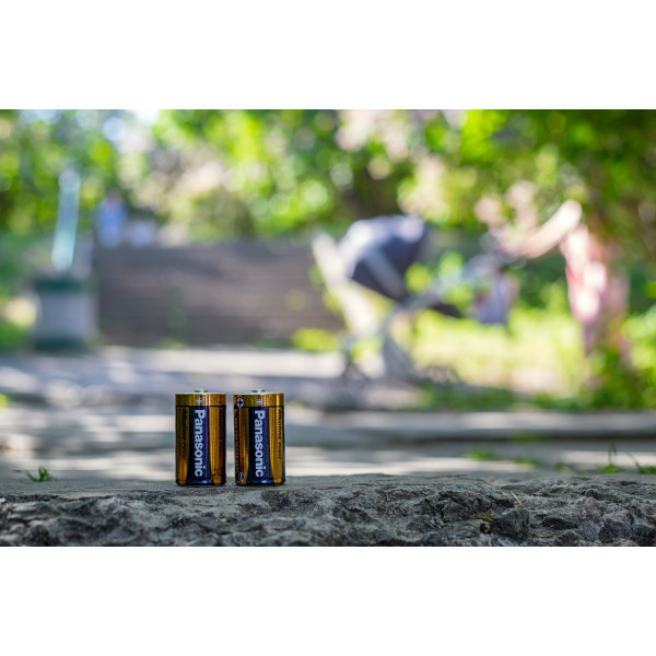 Фото - Уцінка - Батарейка тип D (LR-20) Panasonic ALKALINE POWER D BLI 2 (LR20REB/2BP) #