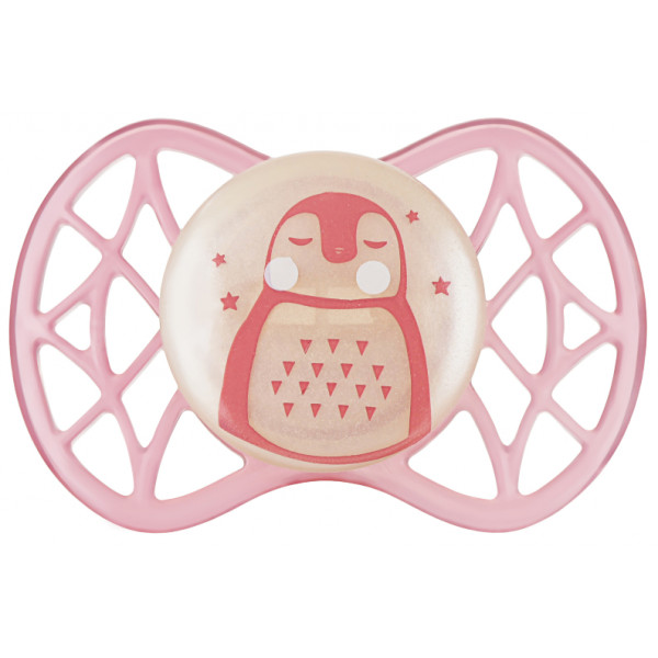 Фото - Симетрична пустушка Nuvita Air55 Explorer 0m + (ведмідь, пінгвін) 2 шт. (NV7067GF)