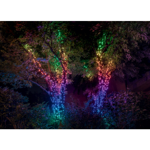 Фото - Гірлянда лінійна Twinkly Pro Strings RGB 250, подвійна лінія, AWG22, IP65, зелений