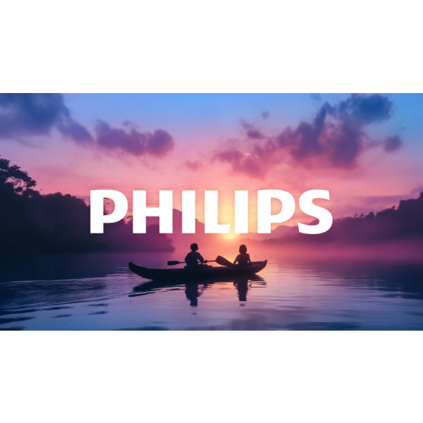 Фото - Телевізор Philips 40PFS6000/12