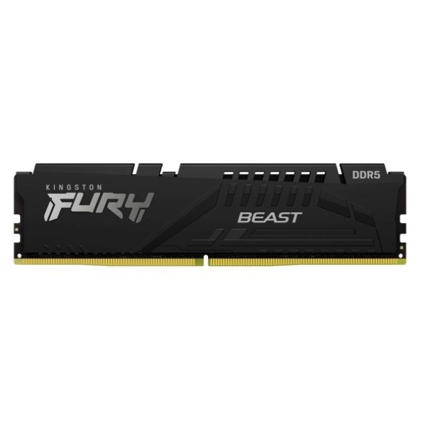 Фото - Пам'ять DDR Kingston DDR5 32GB 6000 FURY Beast Black EXPO (KF560C36BBE-32)