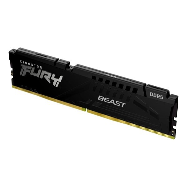 Фото - Пам'ять DDR Kingston DDR5 32GB 6000 FURY Beast Black EXPO (KF560C36BBE-32)
