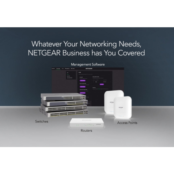Фото - Коммутатор локальної мережі (Switch) Netgear GS324-200EUS