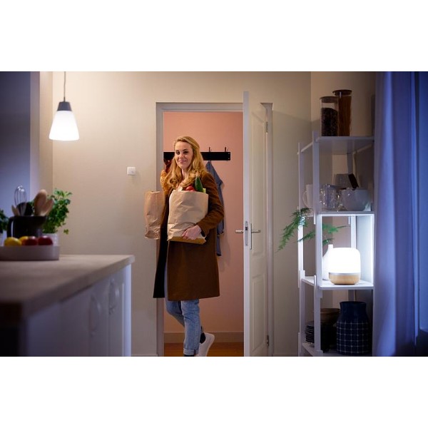 Фото - Беспроводной датчик движения WiZ Wireless Sensor Wi-Fi (929002422302)