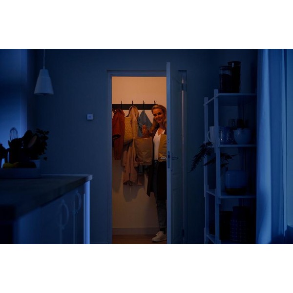 Фото - Беспроводной датчик движения WiZ Wireless Sensor Wi-Fi (929002422302)