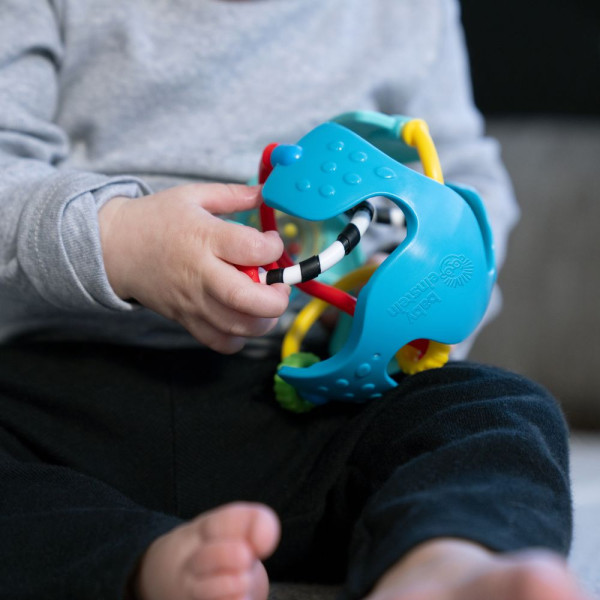 Фото - Брязкальце Baby Einstein Rattle&Sense (17354)