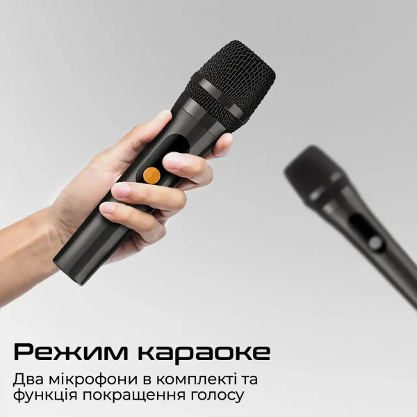 Фото - Портативна акустика HiFuture musicbox300.black