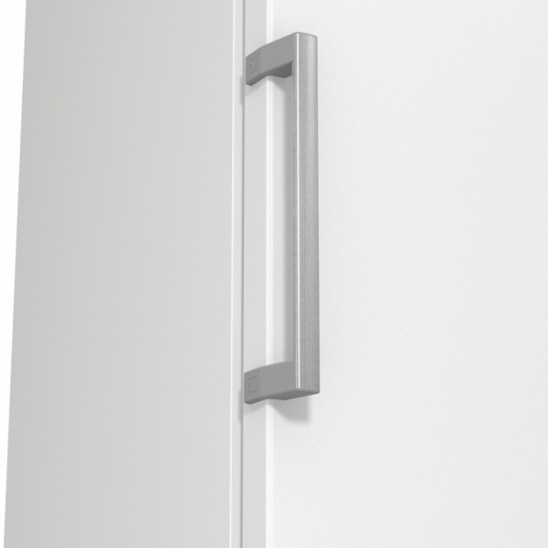 Фото - Морозильная камера Gorenje FN619EEW5