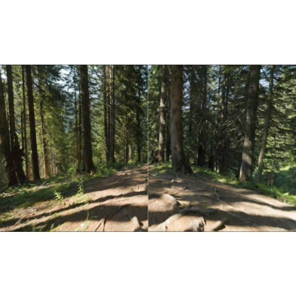 Фото - Фотокамера бездзеркальна Canon EOS R6 Mark II Body (5666C031)