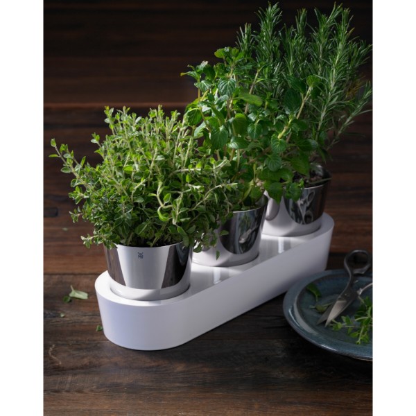 Фото - Розумний квітковий вазон WMF 641306040 GOURMET 3 пр.