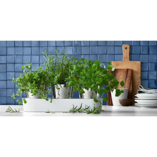 Фото - Розумний квітковий вазон WMF 641306040 GOURMET 3 пр.