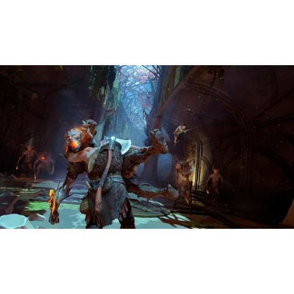 Фото - Игровой диск PS4 God of War