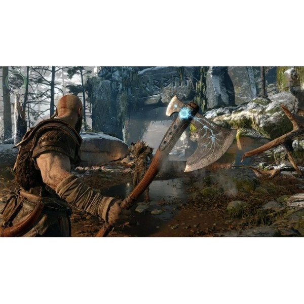 Фото - Игровой диск PS4 God of War