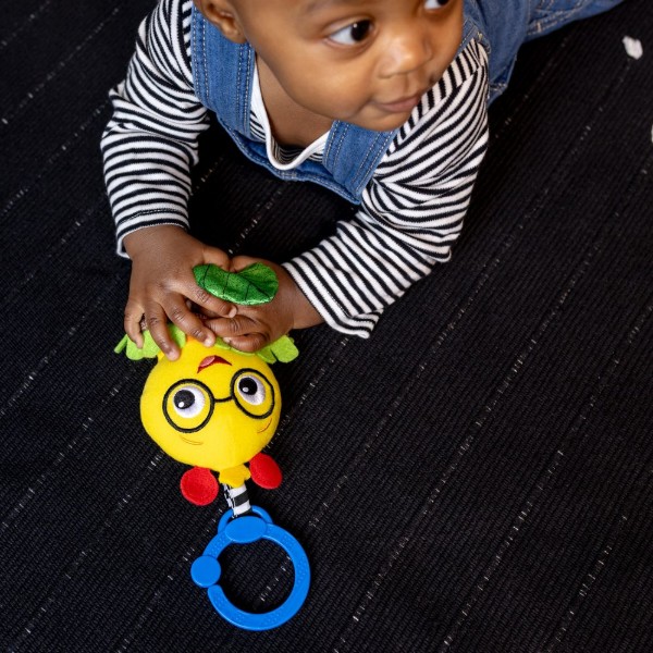 Фото - Підвіска Baby Einstein Cal-a-Puller (16887)