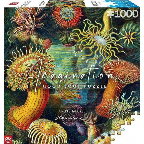 Фото - Пазли (8 +) Good Loot Imagination: Ernst Haeckel: Sea Anemones/Stworzenia morskie Puzzles 1000 шт. (5908305244943)
