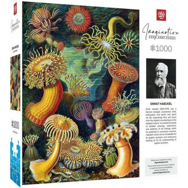 Фото - Пазли (8 +) Good Loot Imagination: Ernst Haeckel: Sea Anemones/Stworzenia morskie Puzzles 1000 шт. (5908305244943)