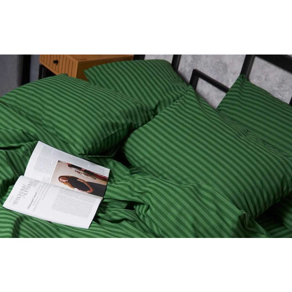 Фото - Наволочка Moon&Star Бязь Gold Люкс Juniper 70х70 2 шт. (MS-840000245)