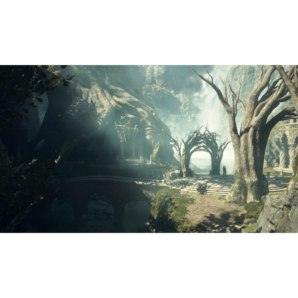Фото - Игровой диск PS5 Dragon's Dogma II