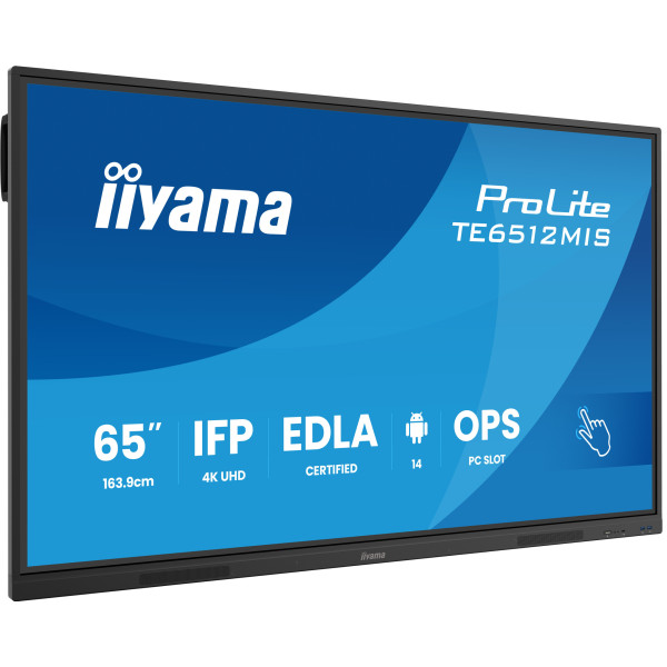 Фото - Интерактивная панель IIYAMA TE6512MIS-B4AG