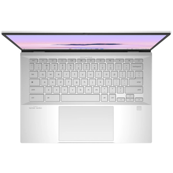 Фото - Ноутбук Asus ExpertBook CX54 CX5403CMA-QN0678 Fog Silver