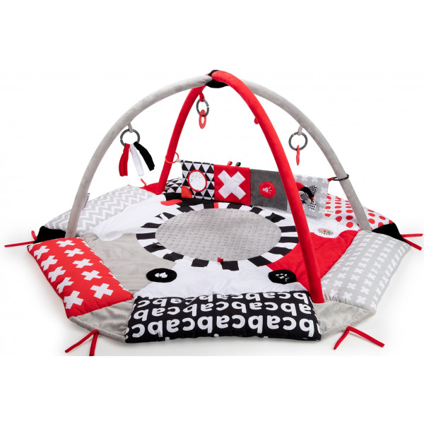 Фото - Книжка-іграшка Canpol babies Sensory Toys (68/081)