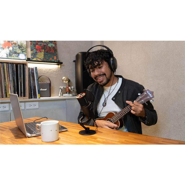 Фото - Мікрофон до комп'ютера Avermedia AM350 Black (40AAAM350AWD)