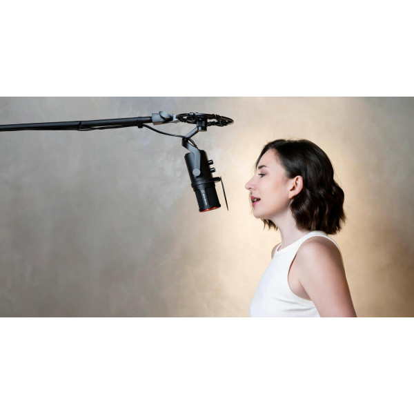 Фото - Мікрофон до комп'ютера Avermedia AM350 Black (40AAAM350AWD)