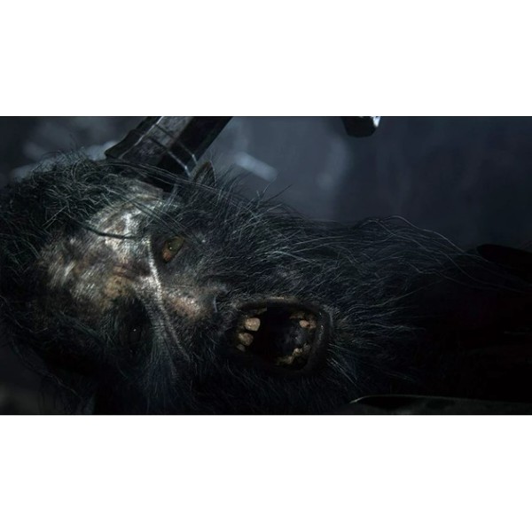 Фото - Ігровий диск PS4 Bloodborne
