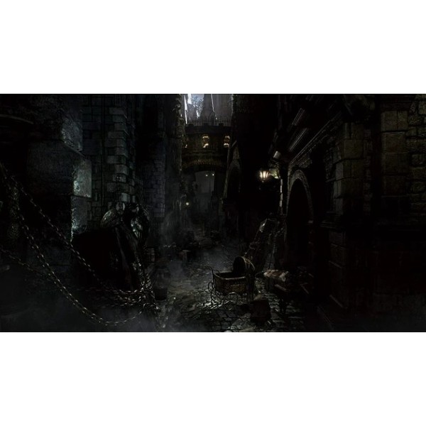 Фото - Ігровий диск PS4 Bloodborne