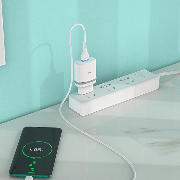 Фото - Сетевое зарядное устройство HOCO C12Q Smart QC3.0 charger set(Type-C) 18W White (6931474716309)