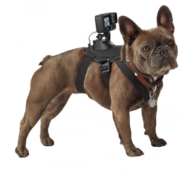 Фото - Экшн-камера GoPro HERO13 Black