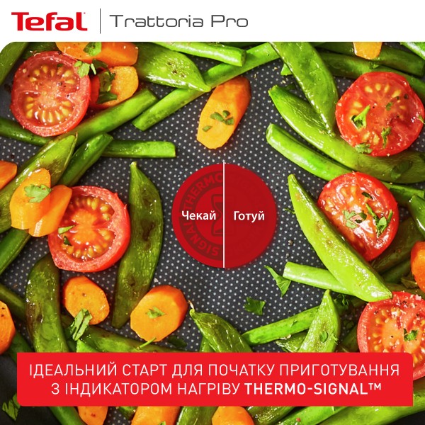 Фото - Сковорода универсальная Tefal Trattoria Pro 28 см (G6120644)