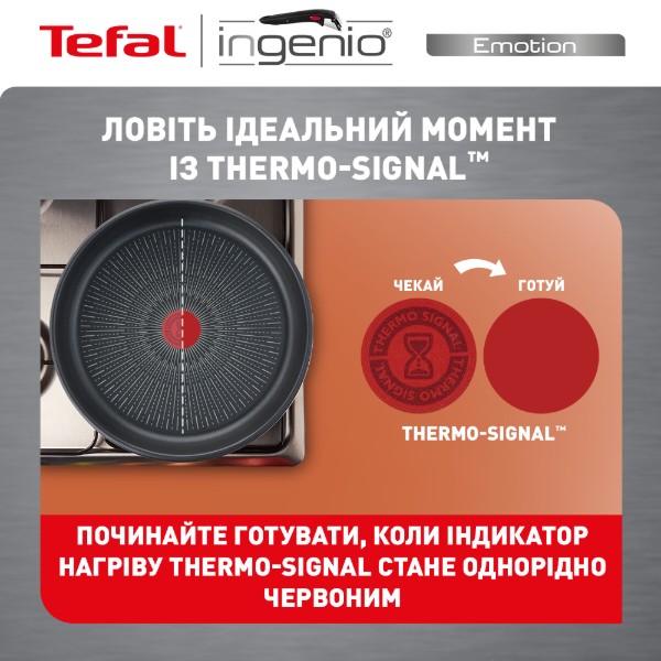 Фото - Набір посуду зі знімною ручкою Tefal L897SD74 Ingenio Emotion 13 пр