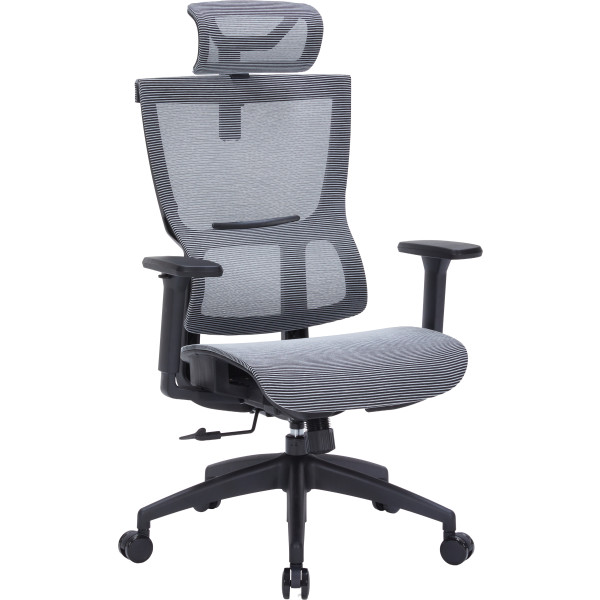 Фото - Крісло офісне OfficePro Elegant (OC660-B-DG-DG) Black/Dark Gray