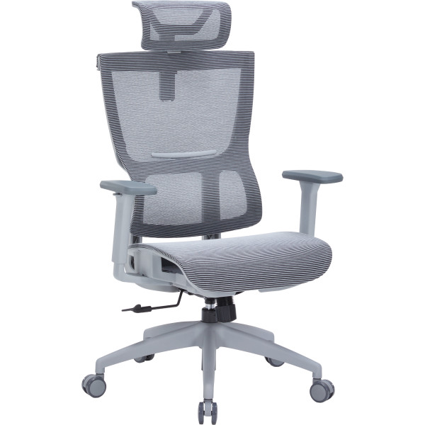 Фото - Крісло офісне OfficePro Elegant (OC660-G-DG-DG) Gray/Dark Gray