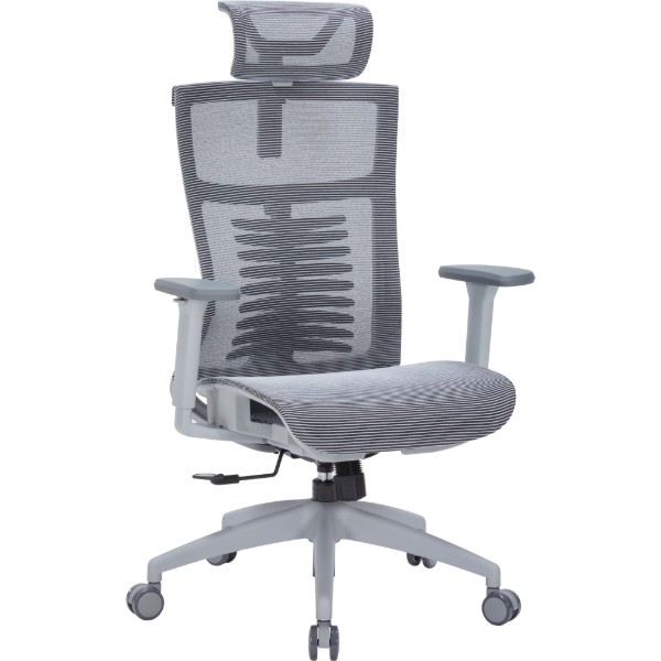 Фото - Крісло офісне OfficePro Balance (OC620-G-DG-DG) Gray/Dark Gray
