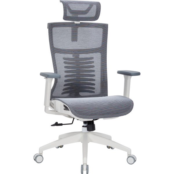 Фото - Крісло офісне OfficePro Balance (OC620-W-DG-DG) White/Dark Gray