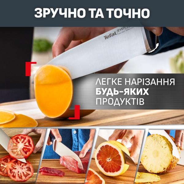 Фото - Набор ножей Tefal K297S644 EverSharp Pro 5 предметов + блок-точилка
