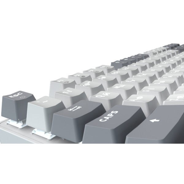 Фото - Клавіатура дротова GamePro Genesis Metallic Outemu Red Swithes USB White (MK110W)