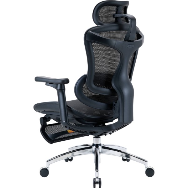 Фото - Крісло офісне Sihoo DORO C300L Mesh Black with footrest (DORO-C300L-A3-101-JT)