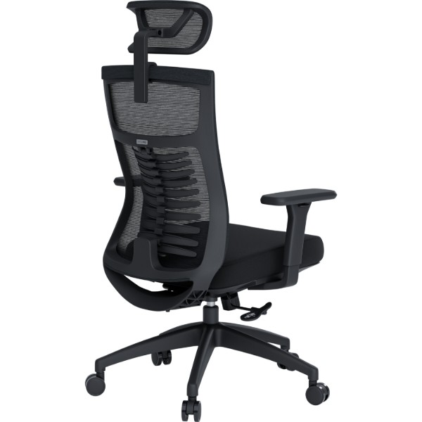 Фото - Кресло офисное OfficePro Balance (OC550-B-B-B) Black