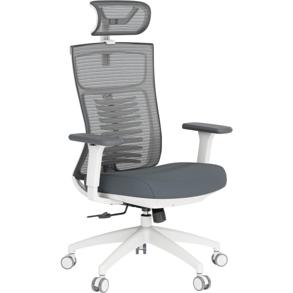 Фото - Крісло офісне OfficePro Balance (OC550-W-DG-DG) White/Dark Gray