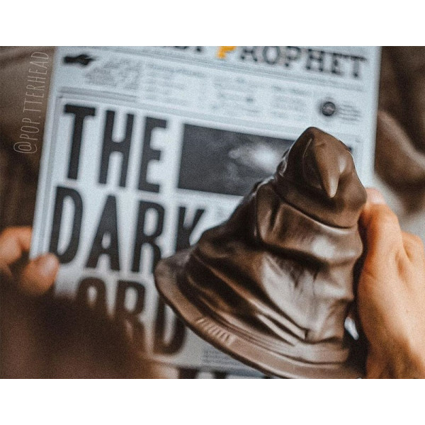 Фото - Чашка HARRY POTTER 3D Sorting Hat 300 мл (ABYMUG447)