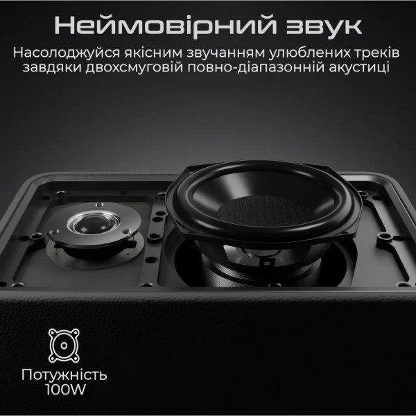 Фото - Портативная акустика HiFuture Passion X Black (passion-x.black)