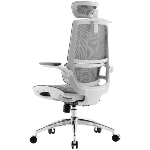Фото - Кресло офисное Sihoo M59AS Mesh Gray (M59AS-M301)