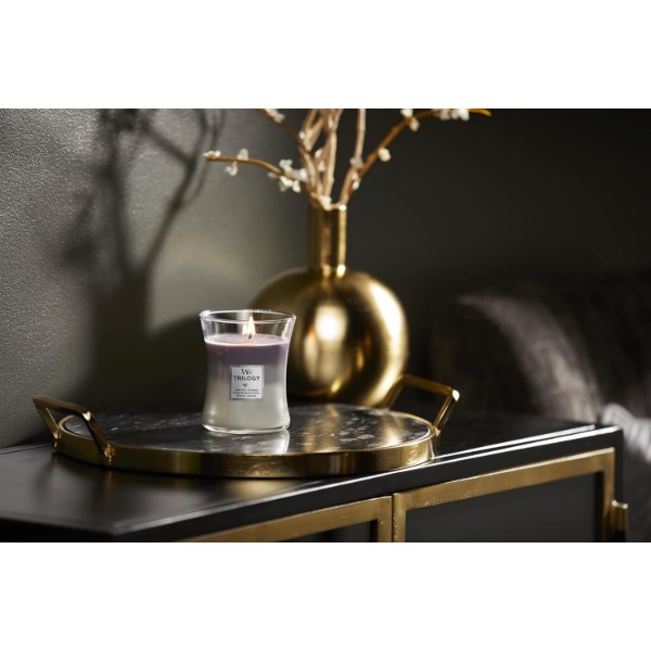 Фото - Свеча стекло Woodwick Medium Trilogy Amethyst Sky (Аметистовое небо) 275г (1707527E)