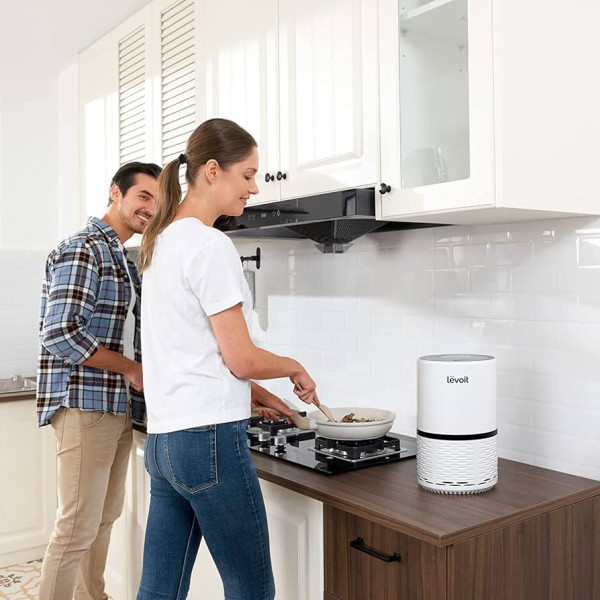 Фото - Очиститель воздуха Levoit Air Purifier LV-H132XR White (HEAPAPLVNEU0021)