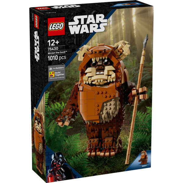 Фото - Конструктор LEGO  Star Wars™ Евок Вікет (75430)