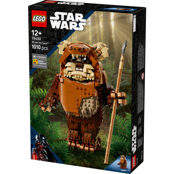 Фото - Конструктор LEGO  Star Wars™ Евок Вікет (75430)